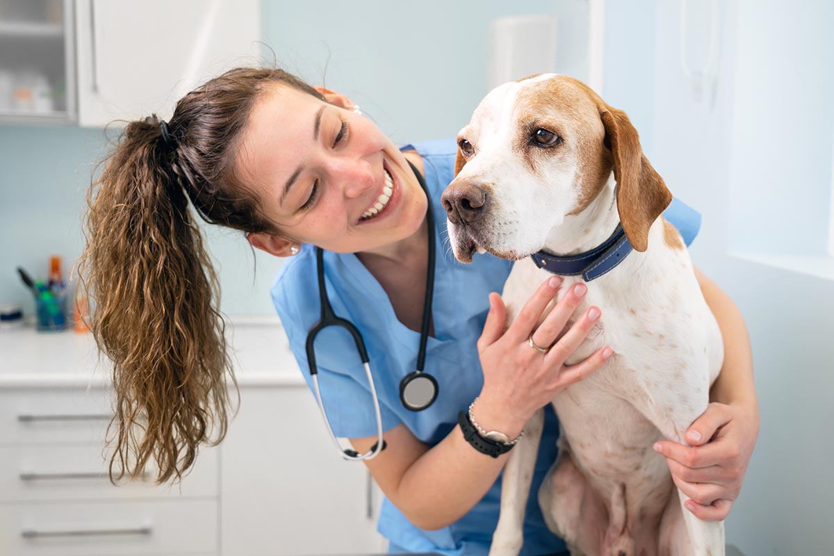 Schedule Your Pets Yearly Checkup to Ensure Kidney & Urinary Health