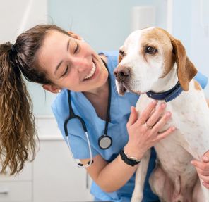 Schedule Your Pets Yearly Checkup to Ensure Kidney & Urinary Health